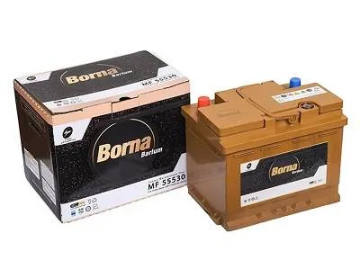 نمایندگی باتری برنا